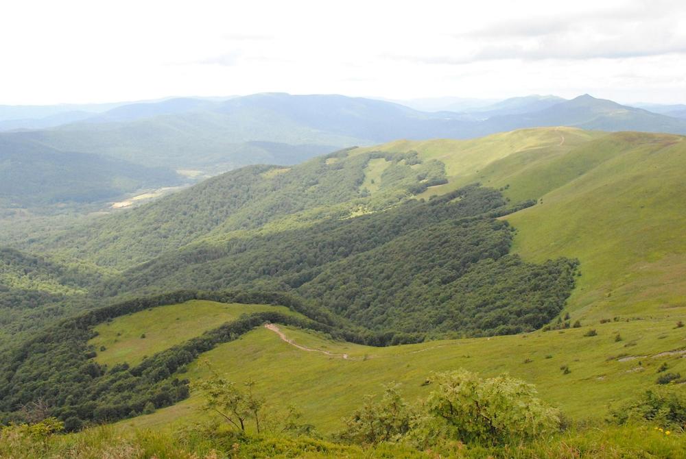 Bieszczady landscape