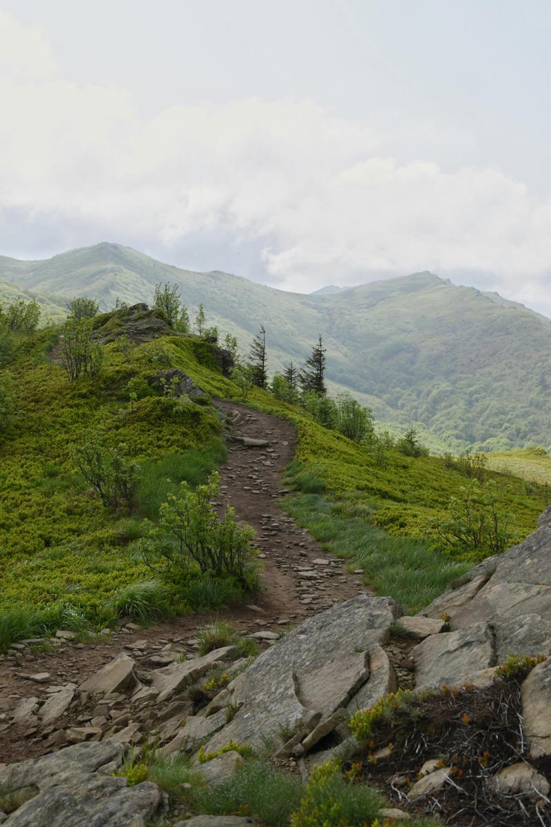 Bieszczady mountains-6879637bbda44170a84fdf9c28b1c3cb.jpg Bieszczady mountains