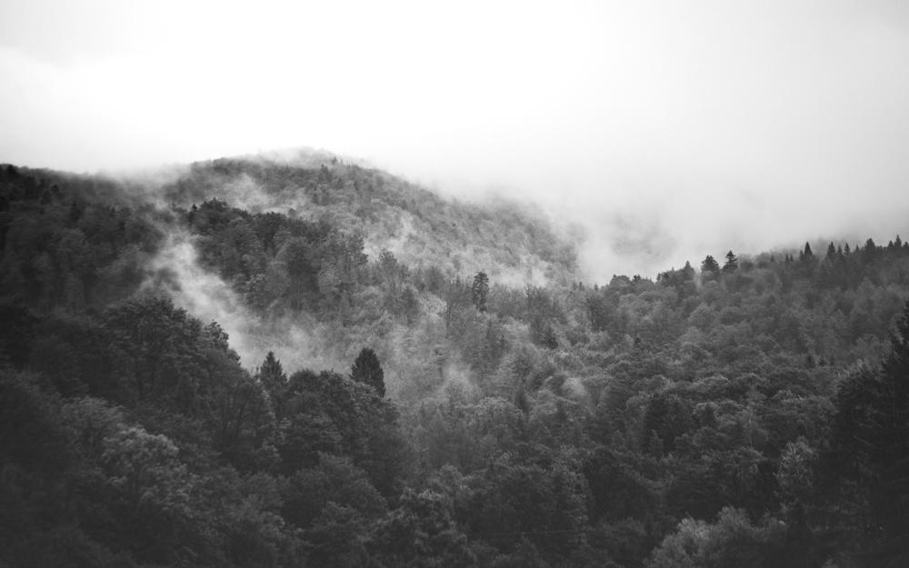 Bieszczady mountains-d4f23d72acc4444289db3b0ef8a308bc.jpg Bieszczady mountains