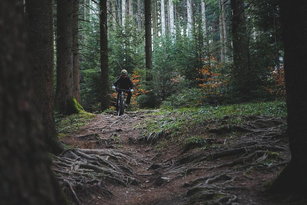 forest biking-3f26ab9901de4a55bb2faf09d8091b32.jpg forest biking