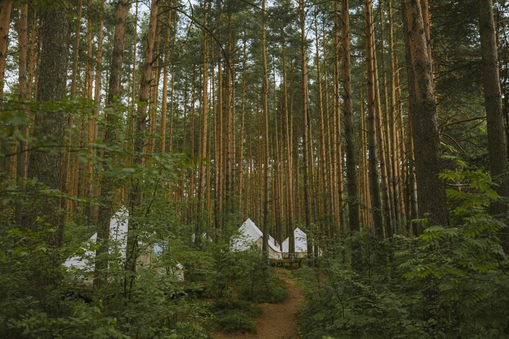 forest camping