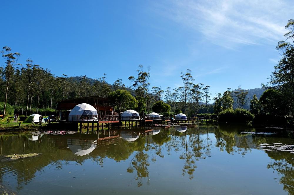 forest camping