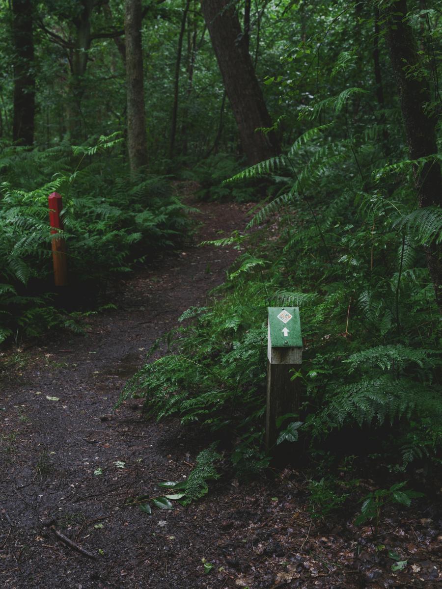 hiking trail