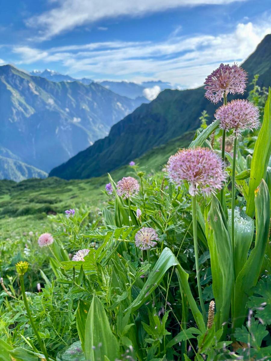 mountain hiking