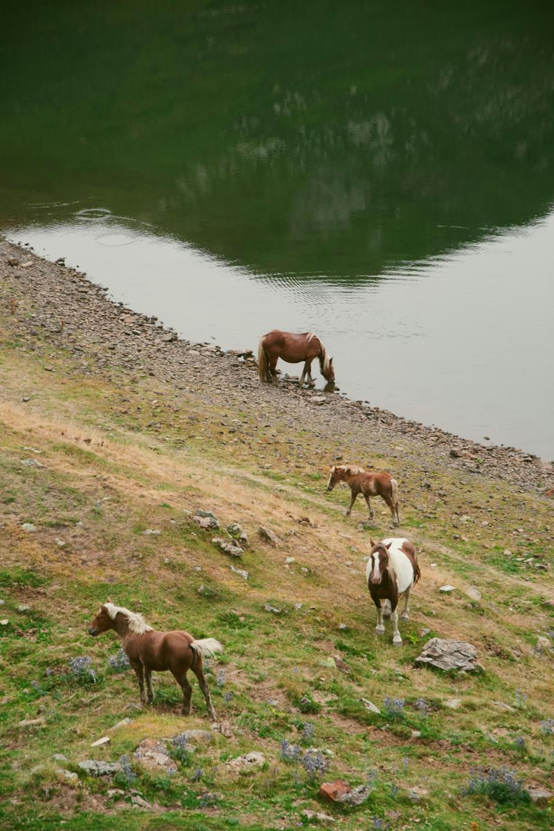 scenic landscape-1c62799b4dc74ca3b6c64f6f90c69aac.jpg scenic landscape